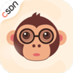 csdn正版