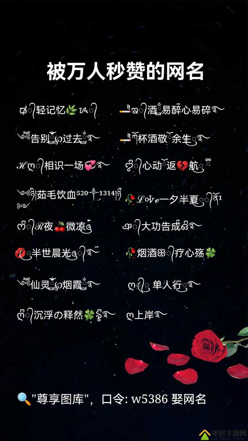 17c 最新网名 2024fun 带来的独特 2024 趣味新体验