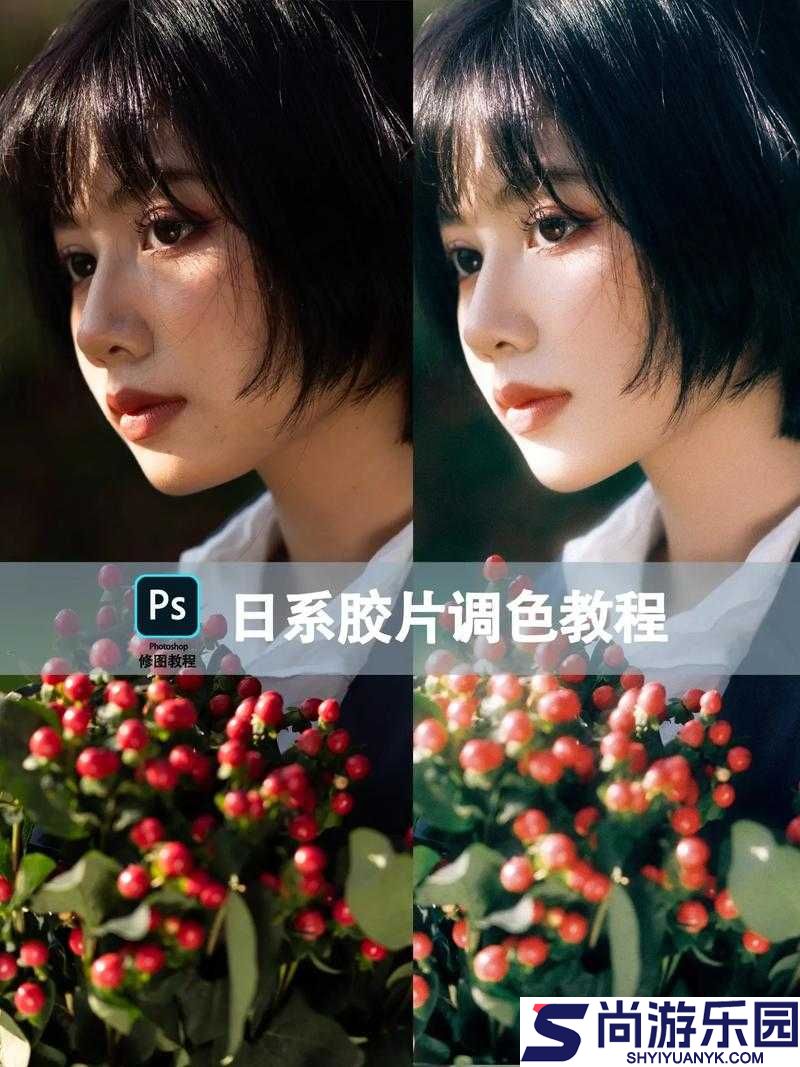 免费获取超实用