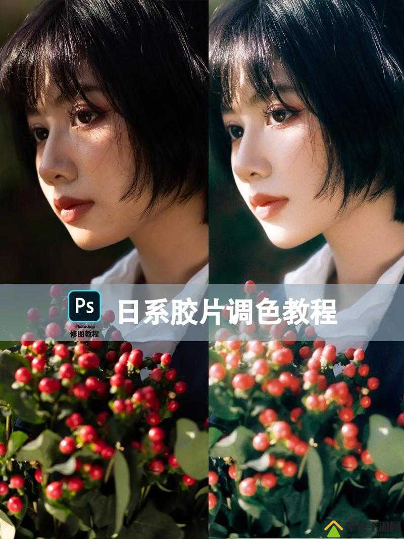 免费获取超实用 ps 大片调色视频软件下载及教程