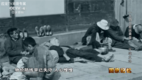 应龙TV下载