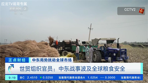 应龙TV下载