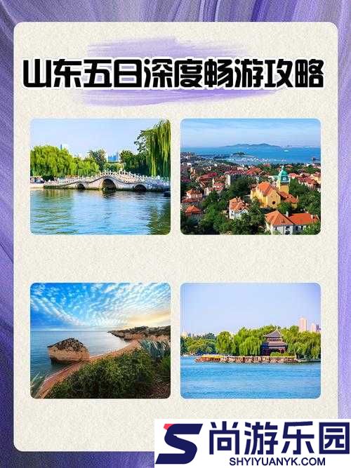 带你了解山东和天天综合网的精彩世界