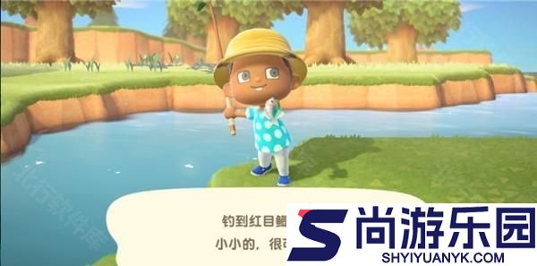 动物森友会移植版下载