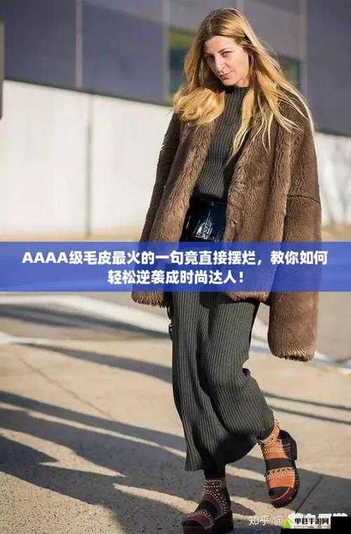 AAAA 级毛皮最火的一句：揭秘其背后的顶级品质魅力