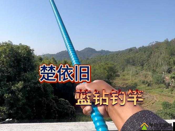 孤岛惊魂5钓鱼竿解锁全攻略，揭秘第四个钓鱼竿荣耀之路的必备秘籍