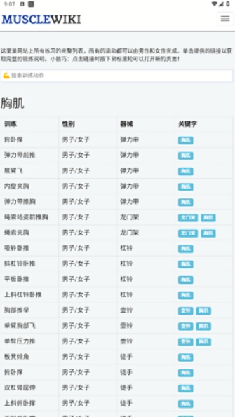 musclewiki中文版下载