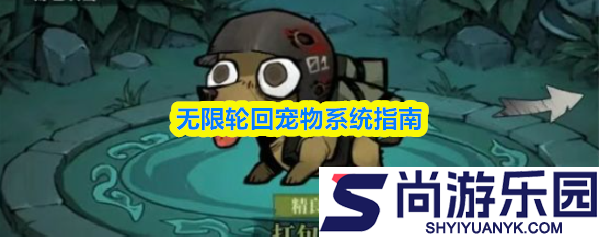 无限轮回宠物怎么玩
