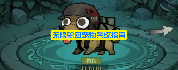【无限轮回宠物怎么玩】无限轮回宠物系统指南