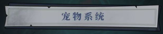 无限轮回宠物怎么玩