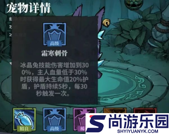 无限轮回宠物怎么玩
