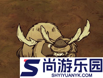 饥荒海难如何杀牛