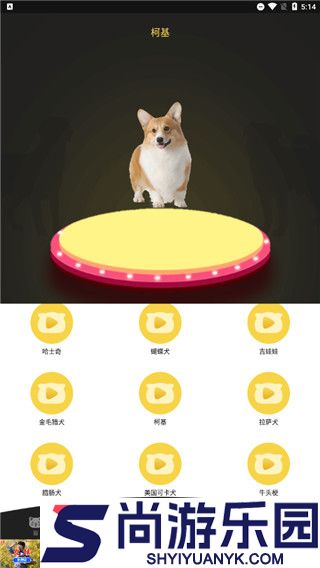 人狗猫交流器APP下载