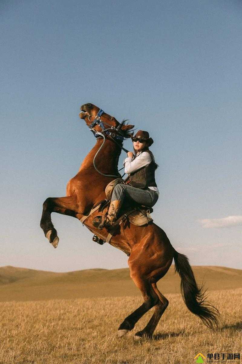 骑马深入大自然，开启别样奇妙之旅