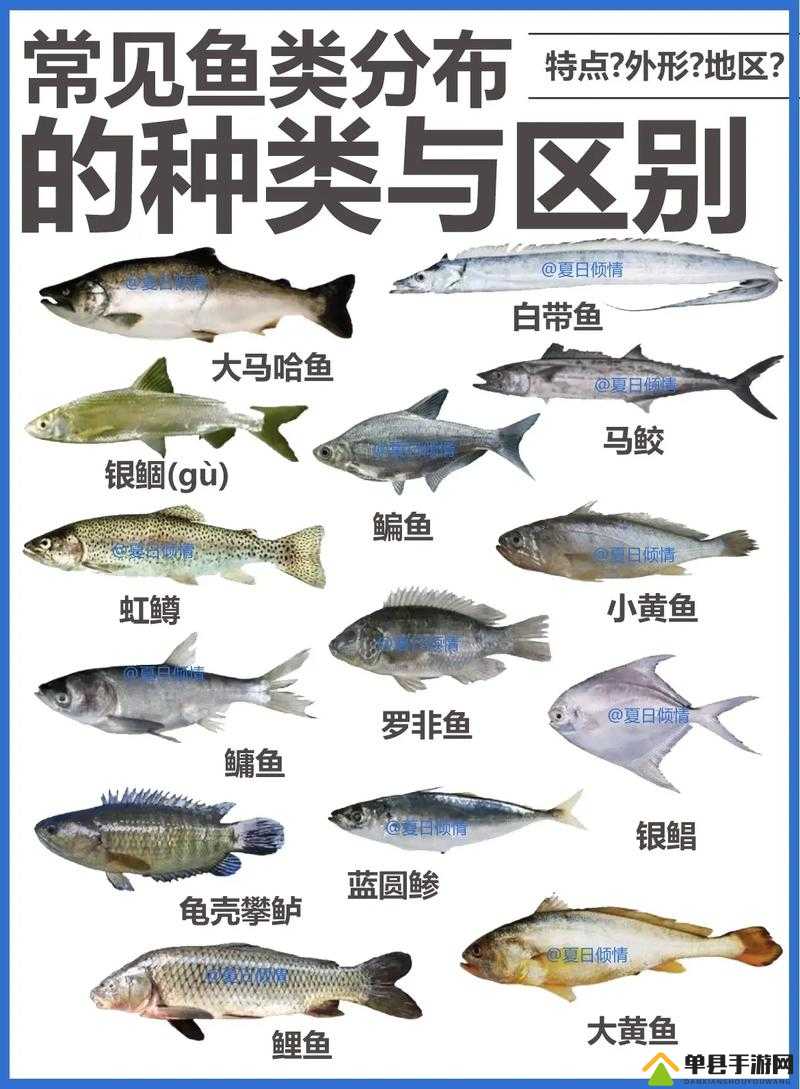孤岛惊魂5游戏内鱼类分布区域及全种类鱼类详细一览指南