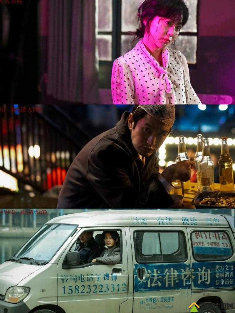 私じゃなかったんだね——探寻真相的旅程
