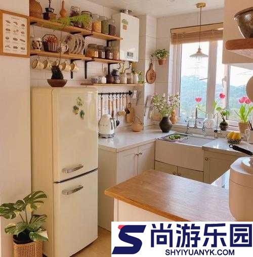 从厨房到客厅的温馨日常点滴