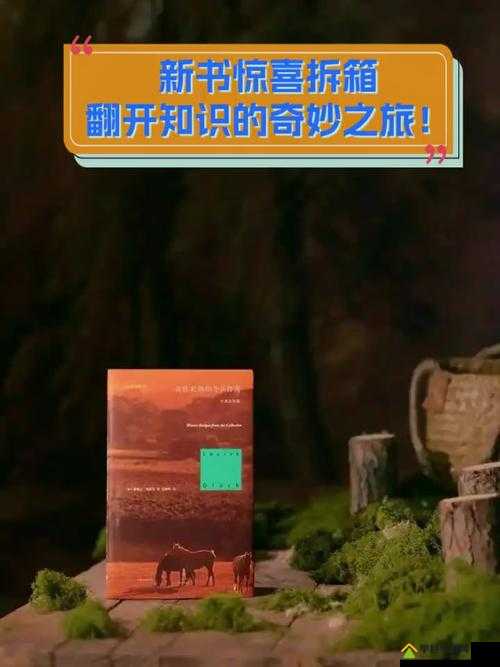 中文字字幕：探索未知的奇妙之旅 开启全新的知识大门