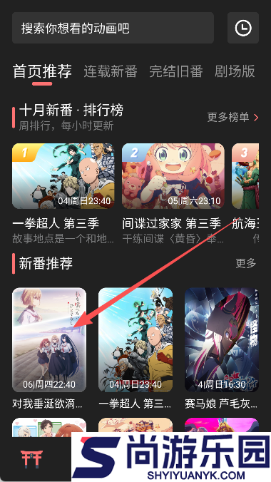 次元城动漫纯净版下载