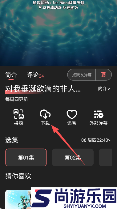 次元城动漫纯净版下载