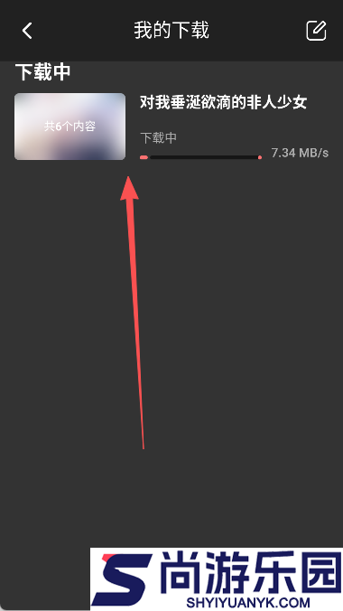 次元城动漫纯净版下载