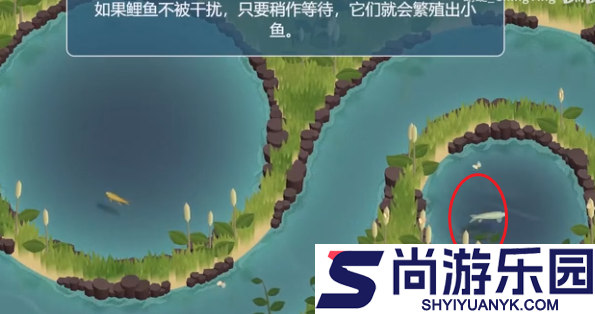 锦鲤农场游戏下载