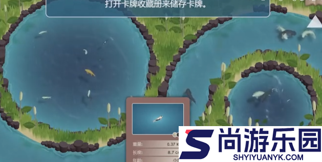 锦鲤农场游戏下载