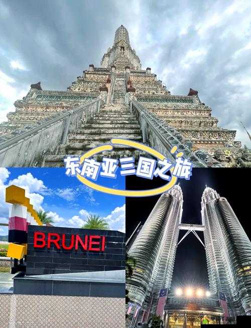 XZL 仙踪林视频：独特魅力欢迎您的精彩体验