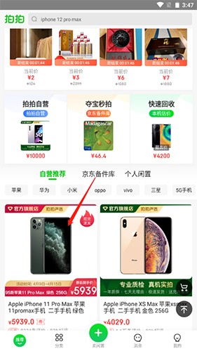拍拍app下载