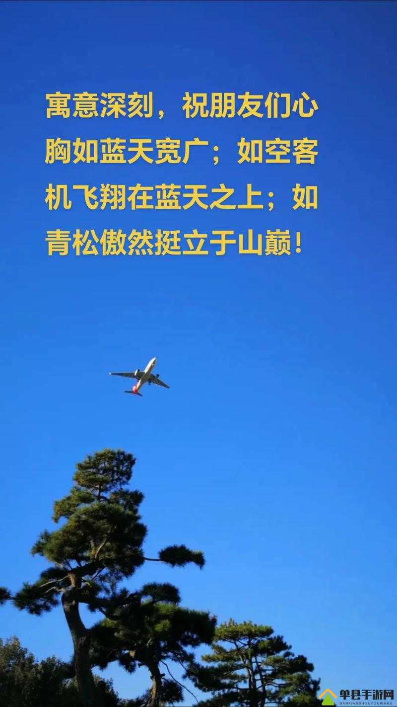 9.1 短视频免费无限刷：畅享精彩无极限