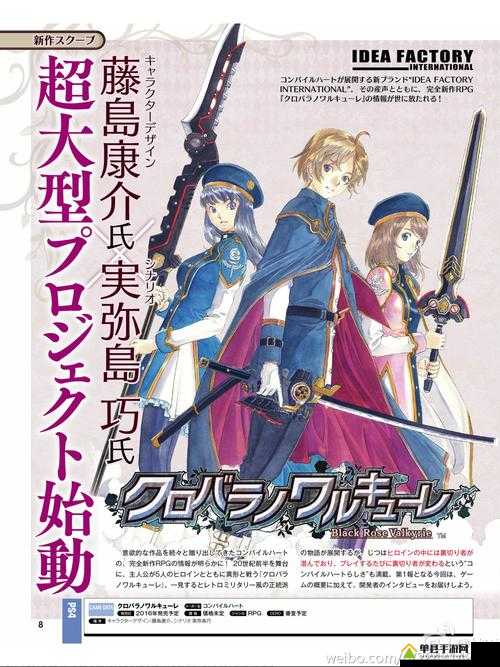 揭秘黑蔷薇女武神的服装升级策略与实现伤害减轻的独特奥秘