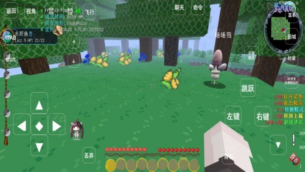 梦想精灵谷中文版下载