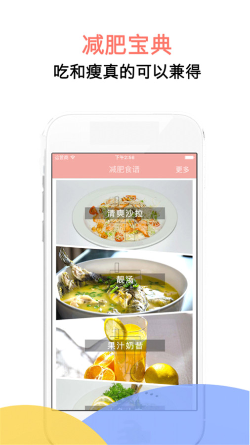 减肥断食食谱最新版下载
