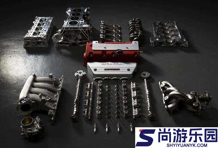 关于性别自由凸轮管阿拉伯