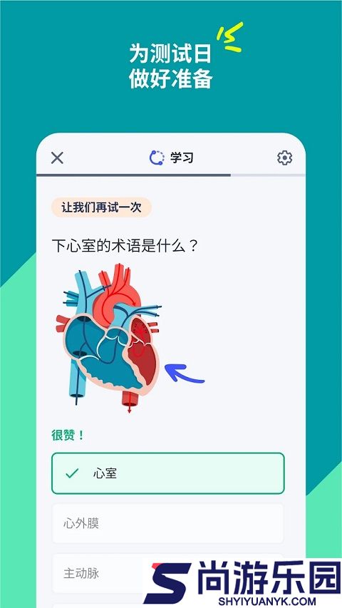 quizlet安卓版下载