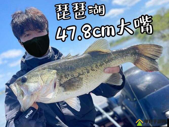 伊苏8游戏攻略，全面解析大琵琶鱼垂钓位置及钓点一览