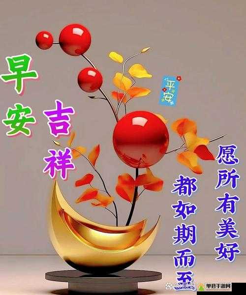 今日看料美好生活从今天开始：开启幸福未来的新征程