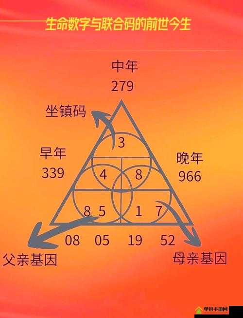 国产一码二码三码区别，你真的了解吗？