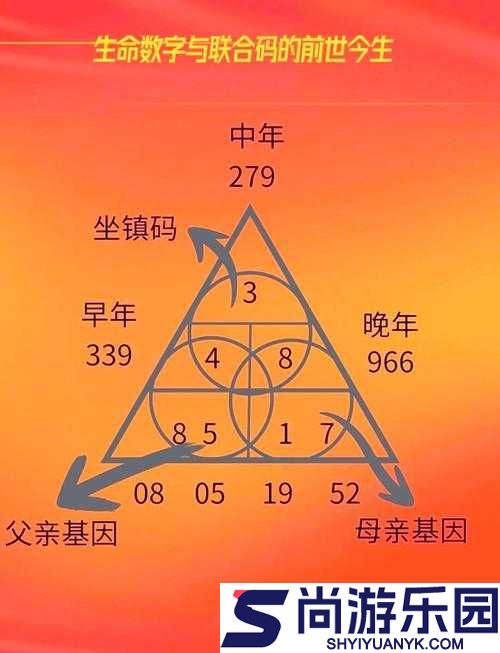 国产一码二码三码区别