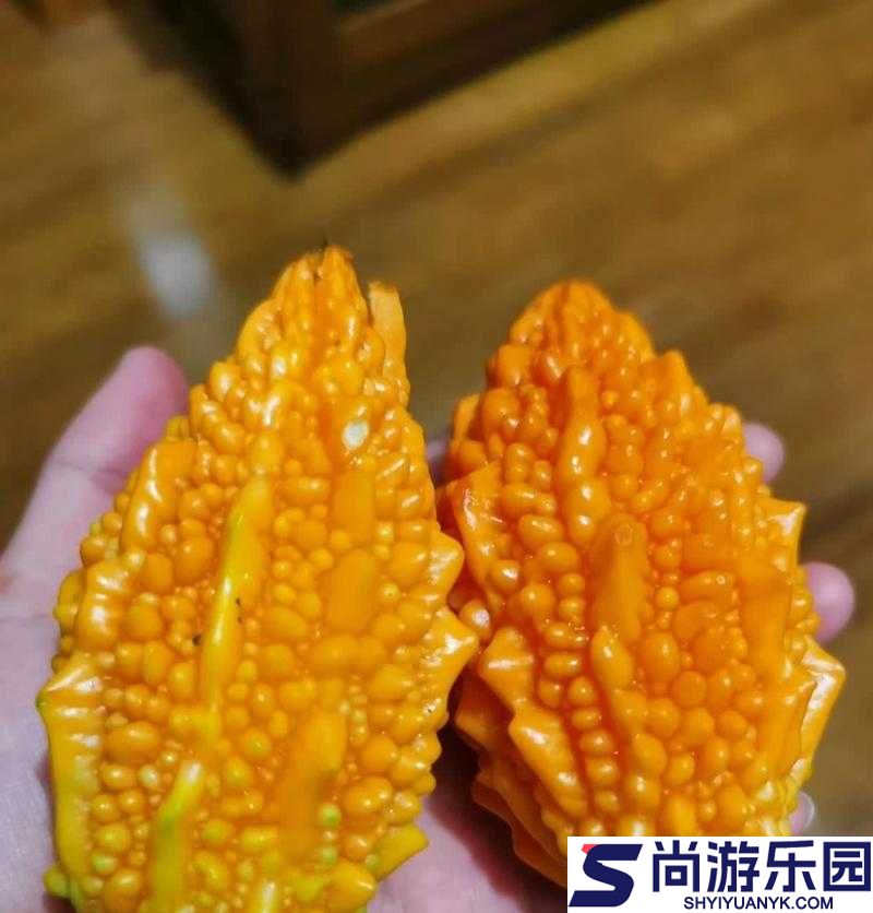 苦瓜网