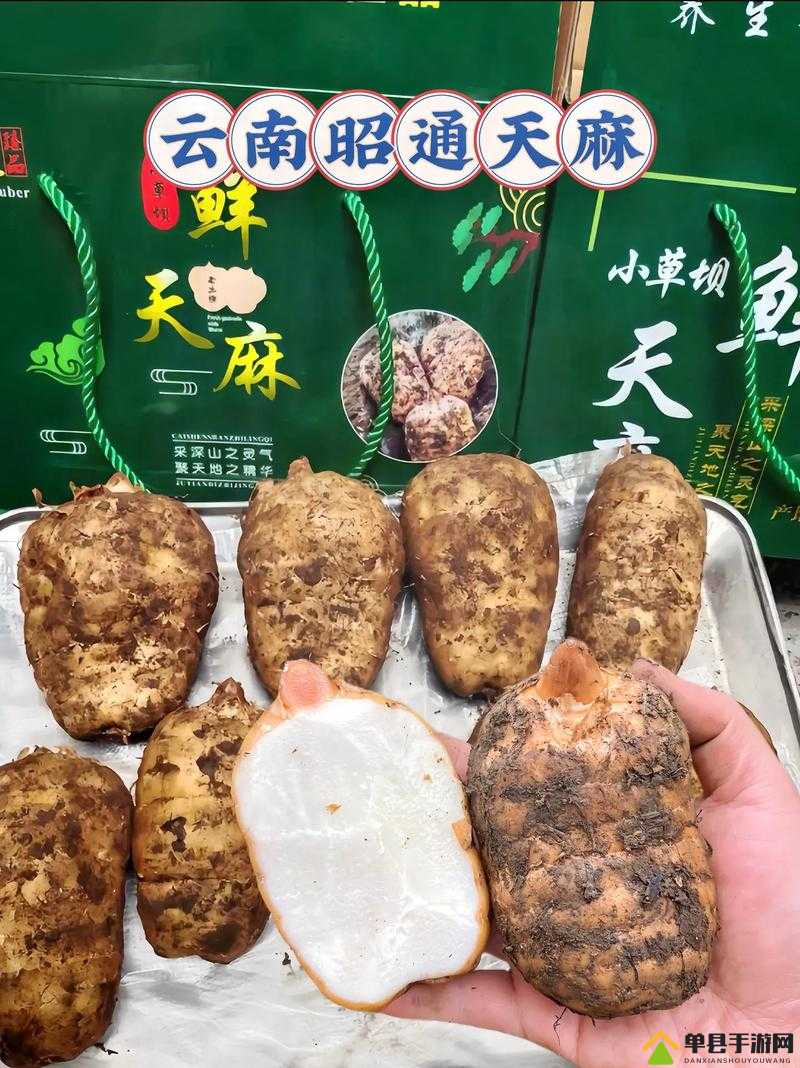 91 制作天麻传媒免费入口：畅享精彩内容无阻碍