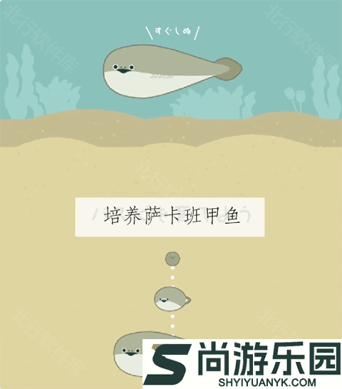 萨卡班甲鱼无广告版下载