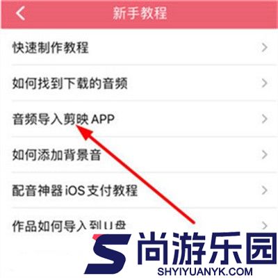 配音神器专业版下载
