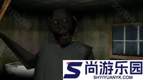 恐怖老奶奶上帝模式下载