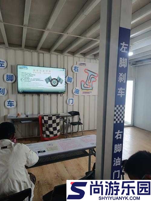 车速特别快详细探寻极速背后的秘密与影响