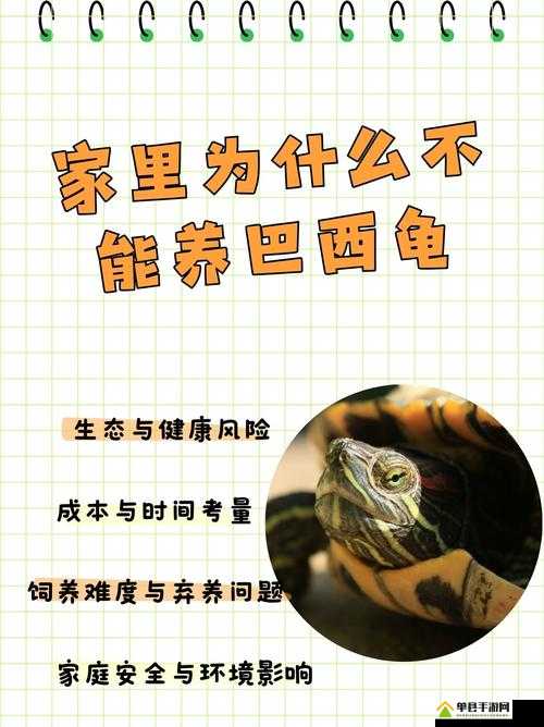 巴西 bbabbabbabba 想起：关于巴西的一些独特记忆与思考