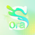 sora软件