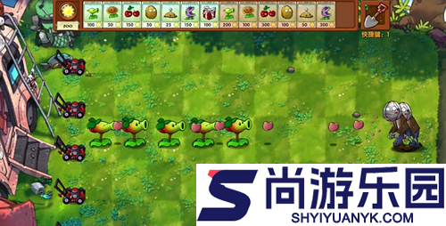 植物大战僵尸融合黑夜版下载