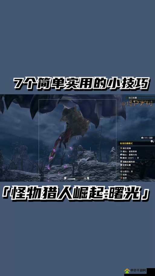 怪物猎人世界，突破耐力上限技能全面解析及其实际效果详解