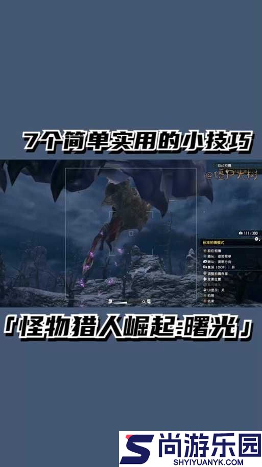 怪物猎人世界